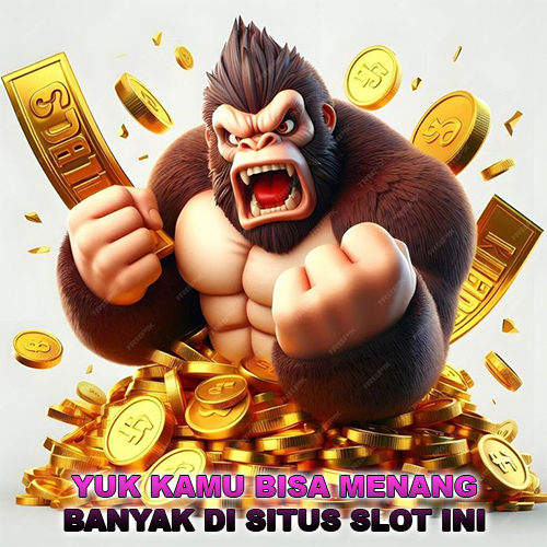 Champion liga5000 bigwin